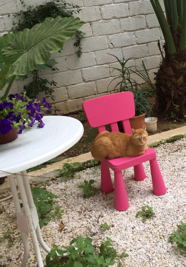 Lilly'S Appartments Athens Luaran gambar